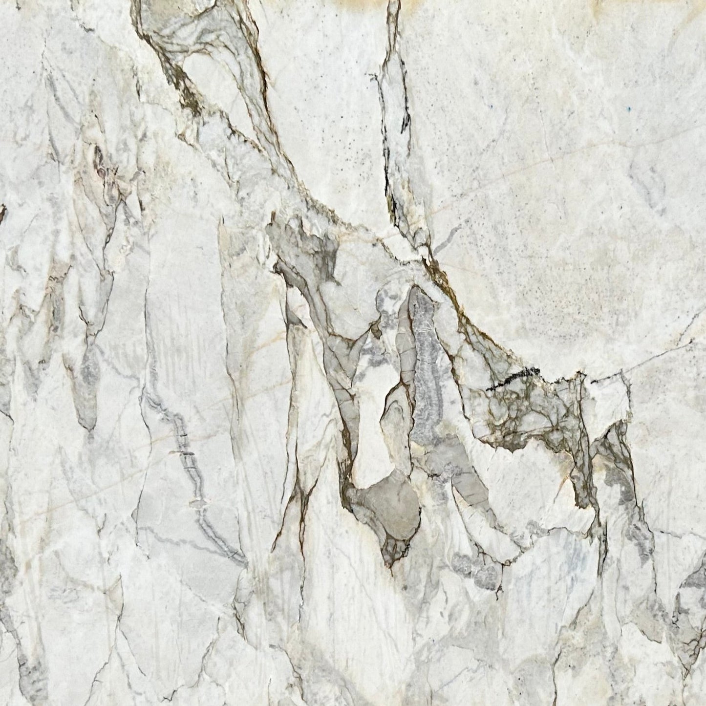 Calacatta Matarazzo Honed Marble 75x34